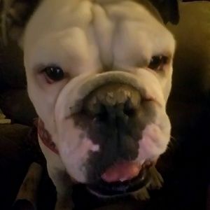 Meet your Posher, Shawna